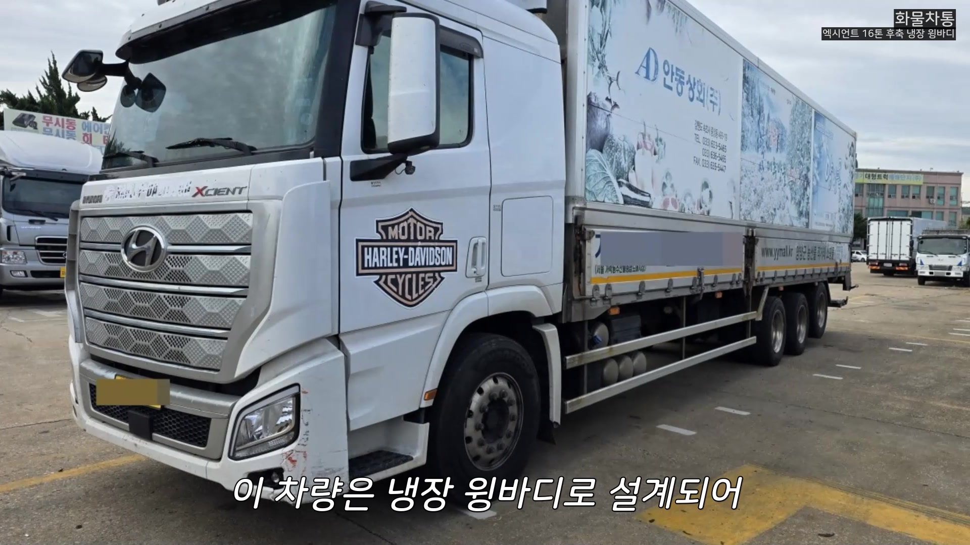 영상으로